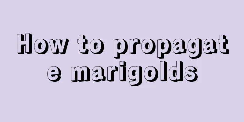 How to propagate marigolds