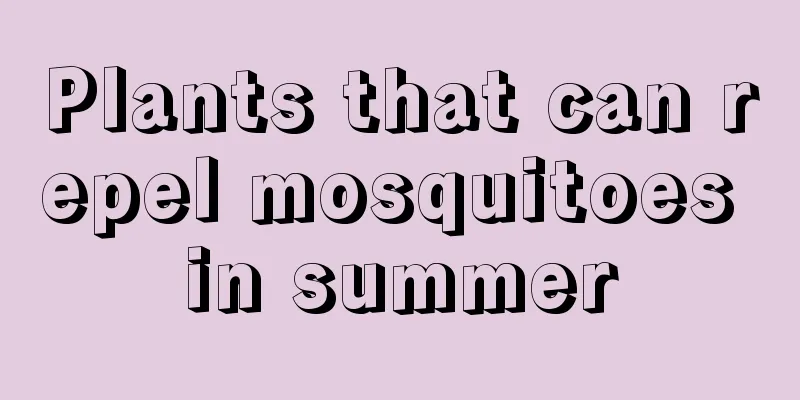 Plants that can repel mosquitoes in summer