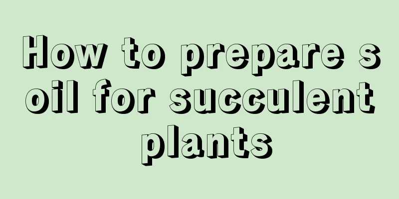 How to prepare soil for succulent plants