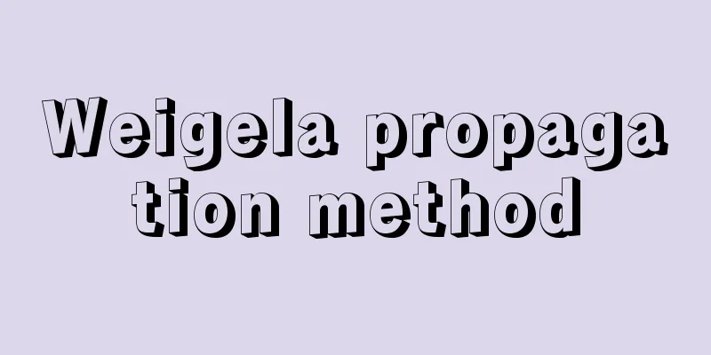 Weigela propagation method