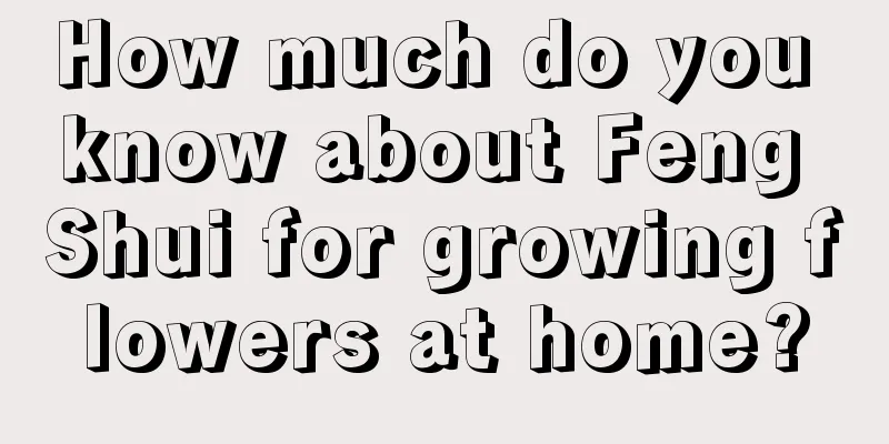 How much do you know about Feng Shui for growing flowers at home?