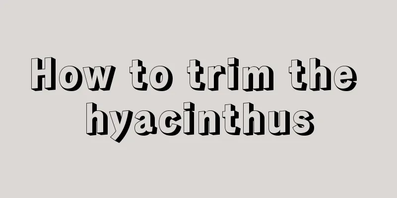 How to trim the hyacinthus