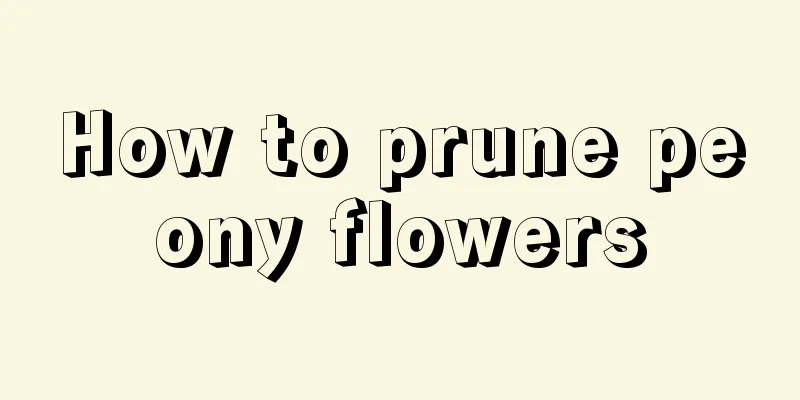 How to prune peony flowers