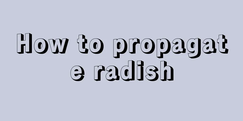 How to propagate radish