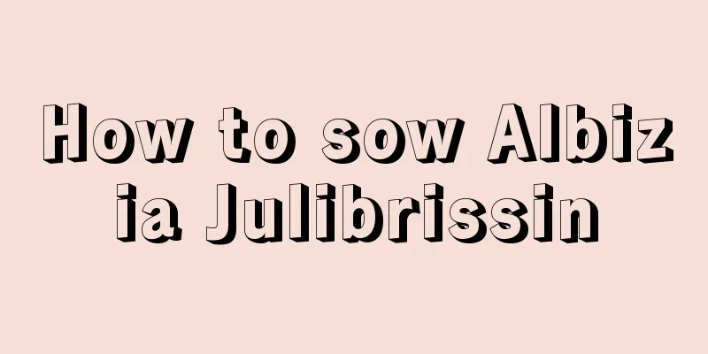 How to sow Albizia Julibrissin