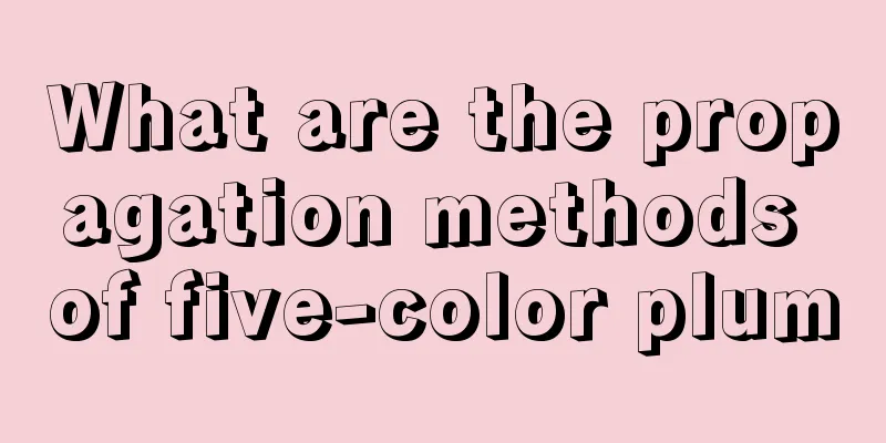 What are the propagation methods of five-color plum