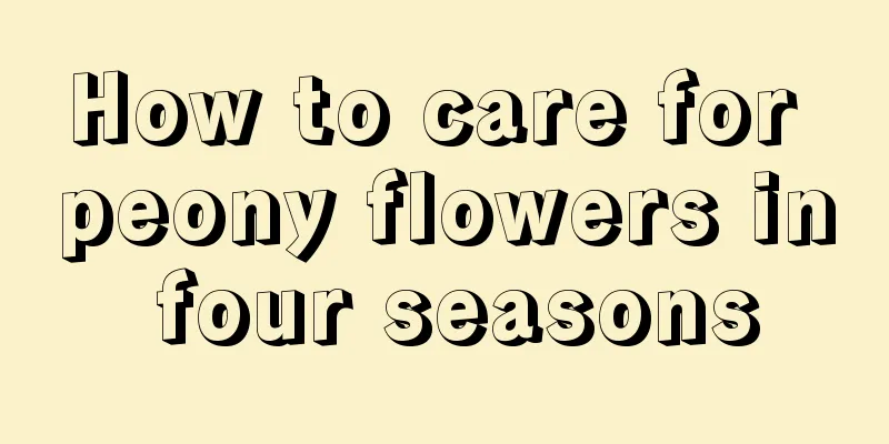 How to care for peony flowers in four seasons