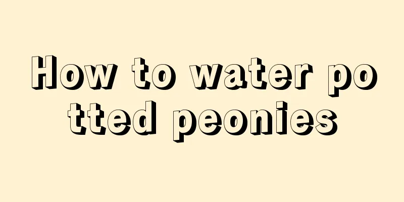 How to water potted peonies