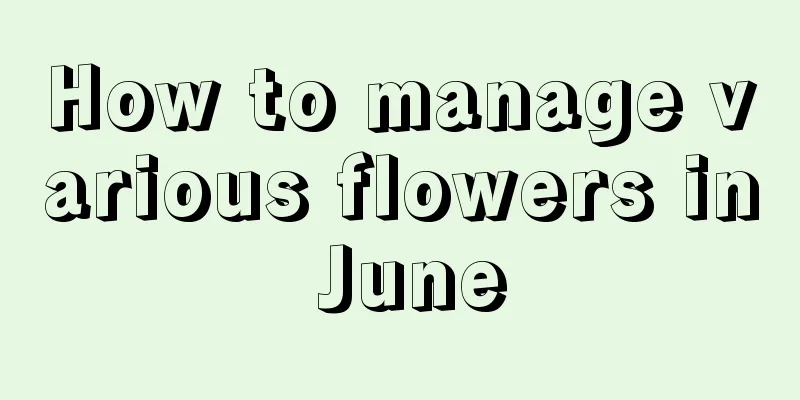 How to manage various flowers in June