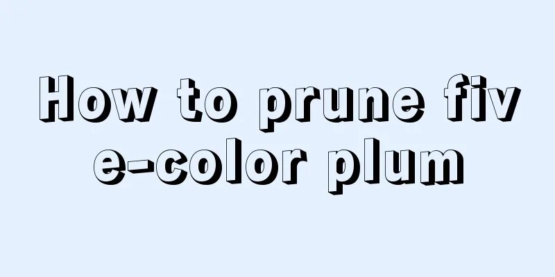 How to prune five-color plum