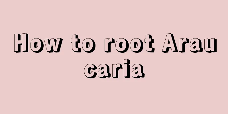 How to root Araucaria