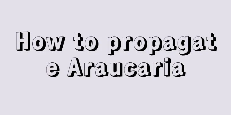 How to propagate Araucaria