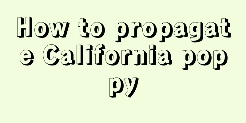 How to propagate California poppy