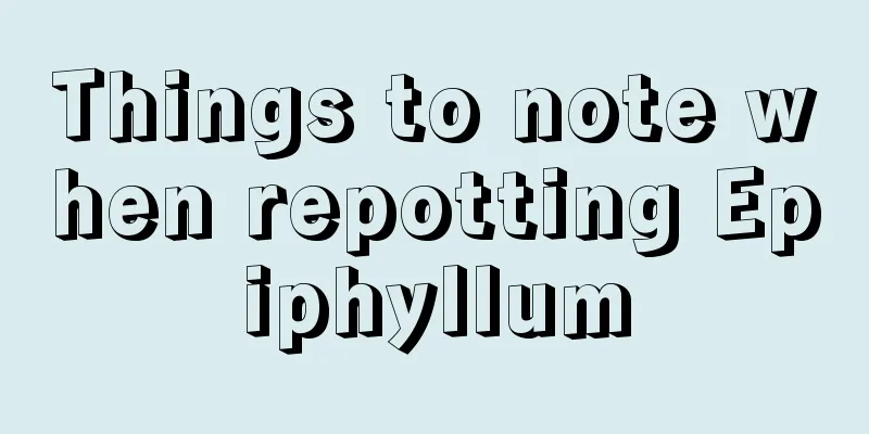 Things to note when repotting Epiphyllum