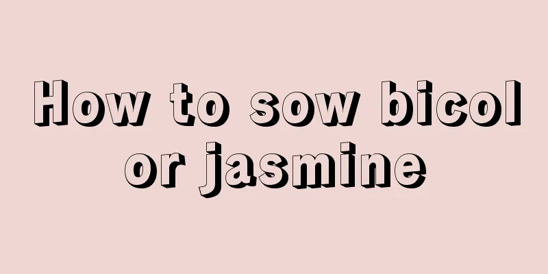 How to sow bicolor jasmine