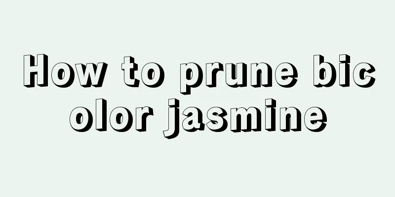 How to prune bicolor jasmine