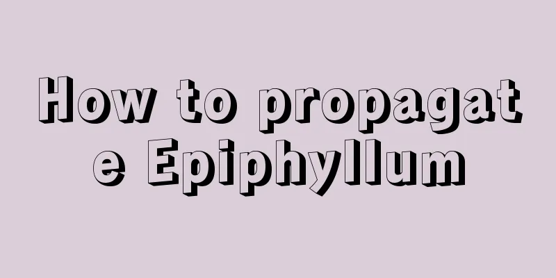 How to propagate Epiphyllum