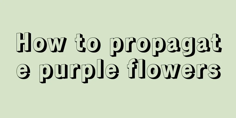 How to propagate purple flowers