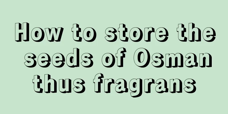 How to store the seeds of Osmanthus fragrans