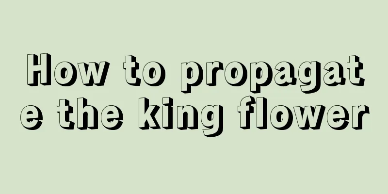 How to propagate the king flower