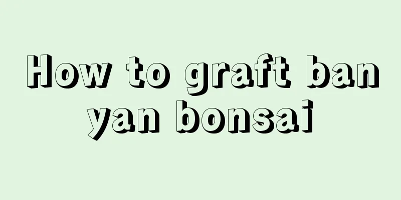 How to graft banyan bonsai