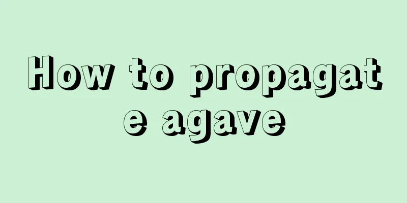 How to propagate agave