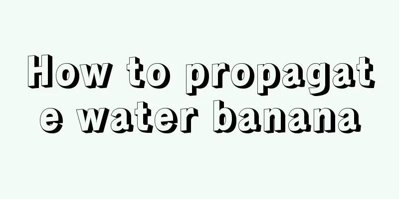 How to propagate water banana