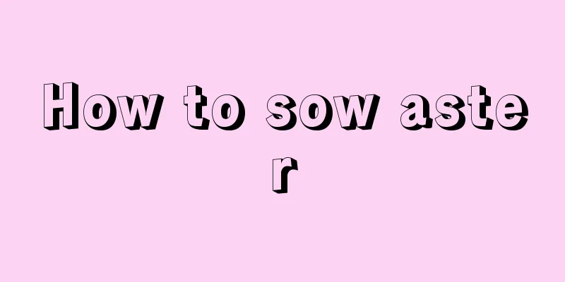 How to sow aster