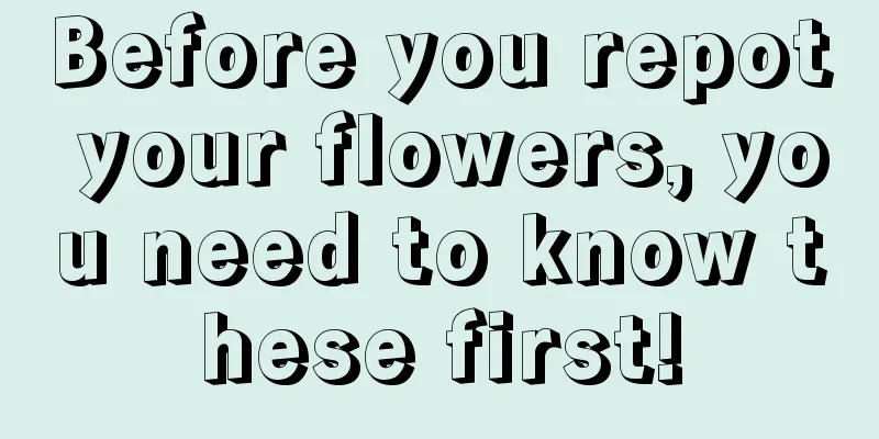 Before you repot your flowers, you need to know these first!