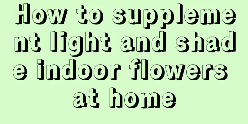 How to supplement light and shade indoor flowers at home