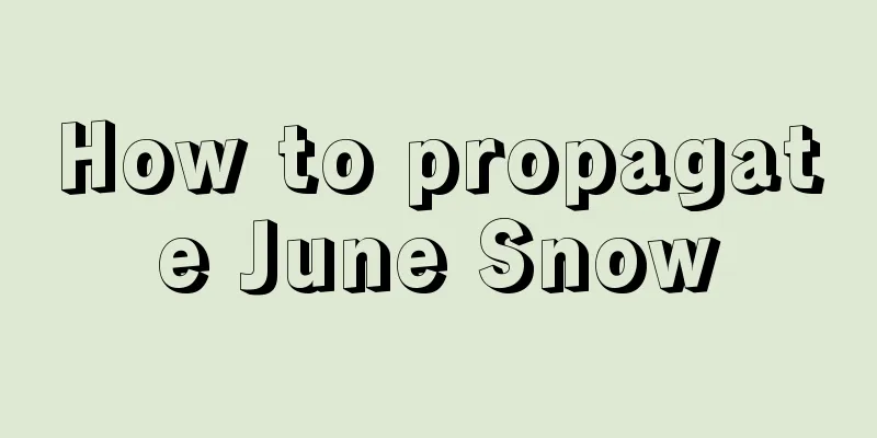 How to propagate June Snow