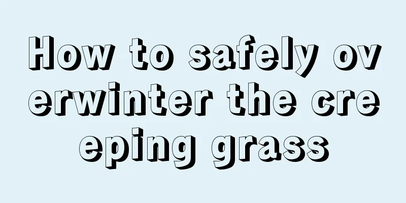 How to safely overwinter the creeping grass