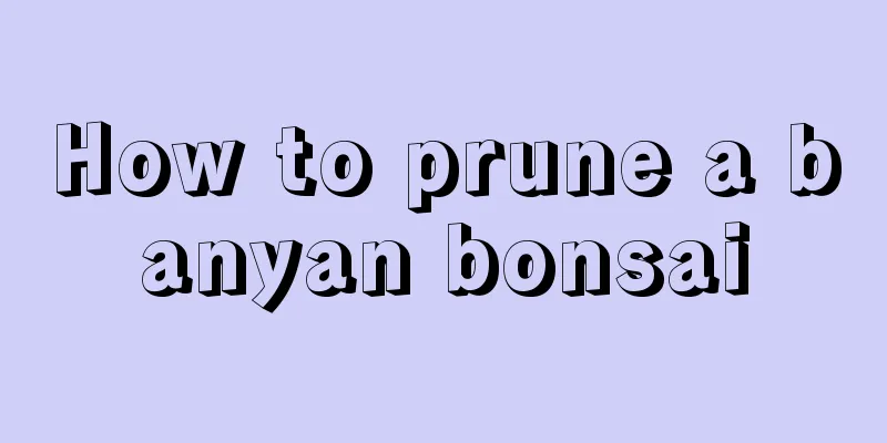 How to prune a banyan bonsai