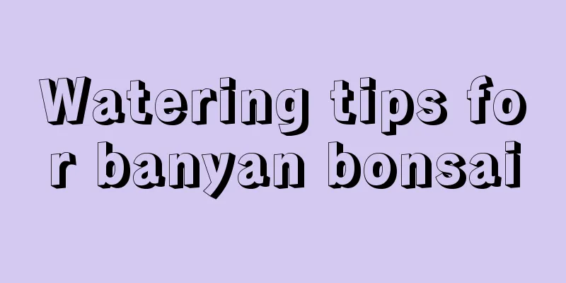 Watering tips for banyan bonsai