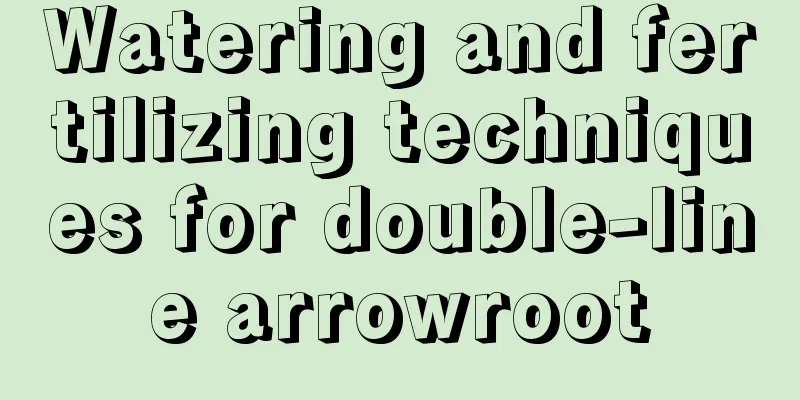 Watering and fertilizing techniques for double-line arrowroot