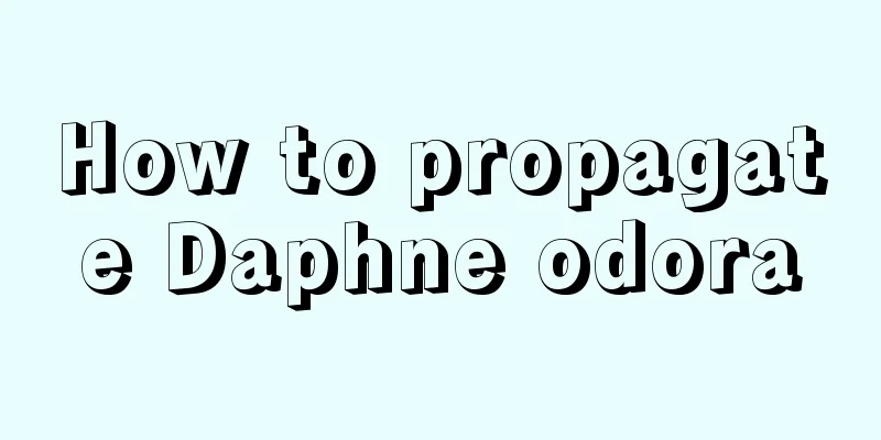 How to propagate Daphne odora