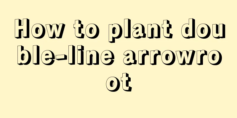 How to plant double-line arrowroot