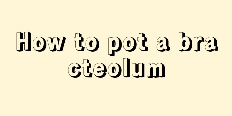 How to pot a bracteolum