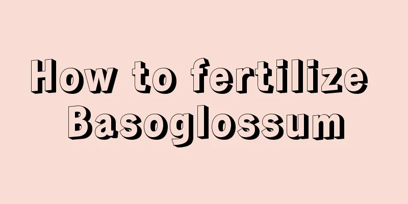 How to fertilize Basoglossum