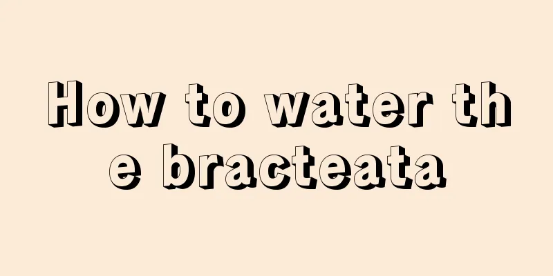 How to water the bracteata