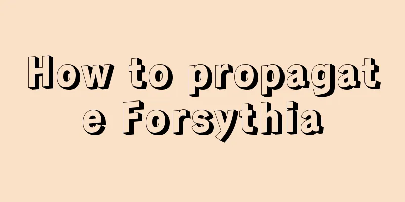 How to propagate Forsythia