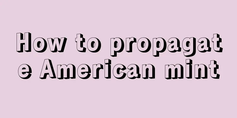 How to propagate American mint