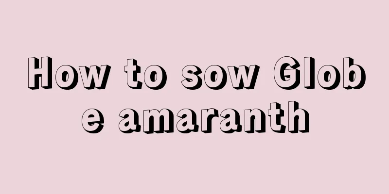 How to sow Globe amaranth