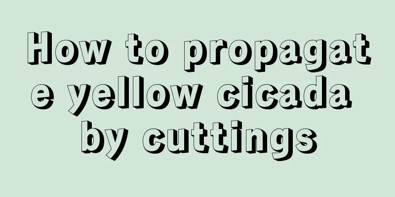 How to propagate yellow cicada by cuttings