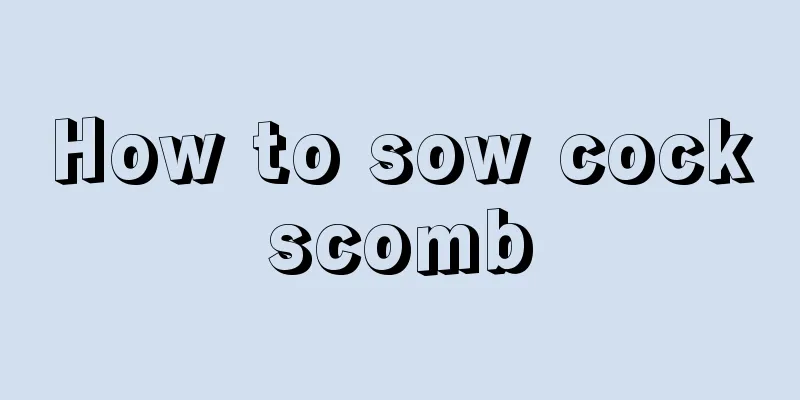 How to sow cockscomb