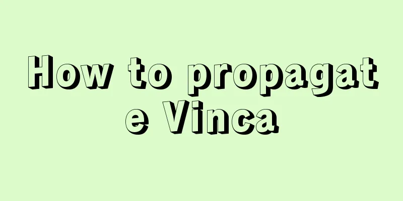 How to propagate Vinca