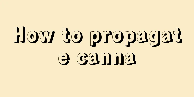 How to propagate canna