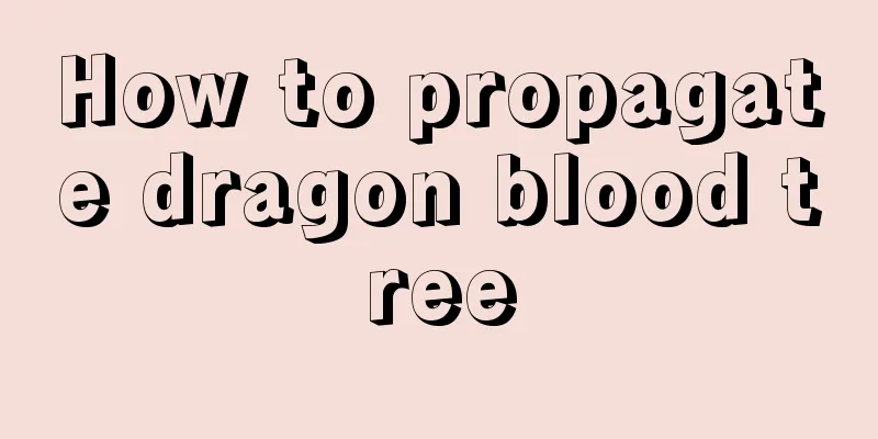 How to propagate dragon blood tree