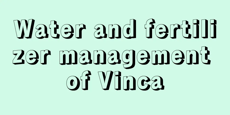 Water and fertilizer management of Vinca