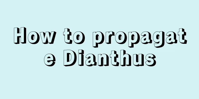 How to propagate Dianthus